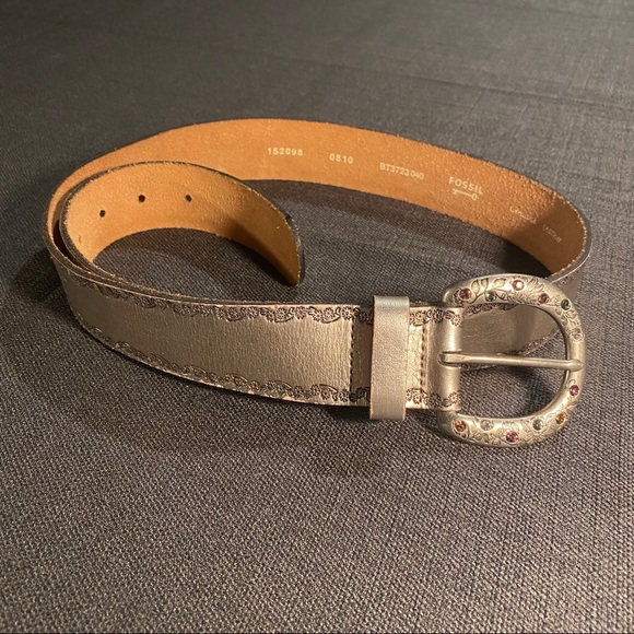Fossil Belt - Picture 1 of 8